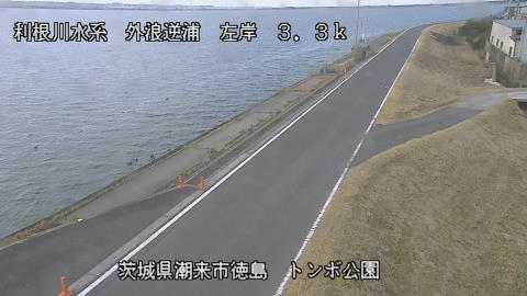 sotona2026020211_image