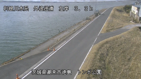 sotona2026020212_image