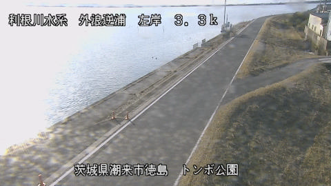 sotona2026020215_image