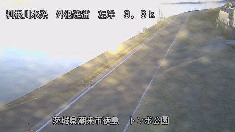 sotona2026020217_image