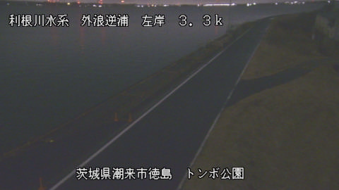 sotona2026020223_image