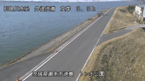 sotona2026020312_image