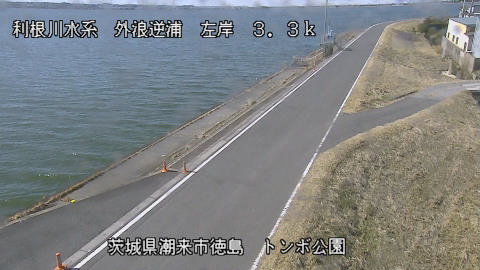 sotona2026021912_image