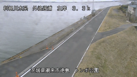 sotona2026022112_image