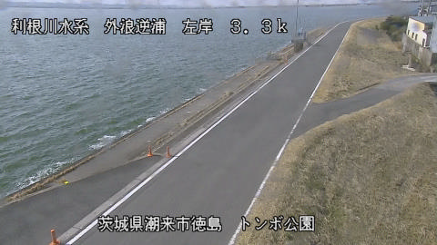 sotona2026022212_image