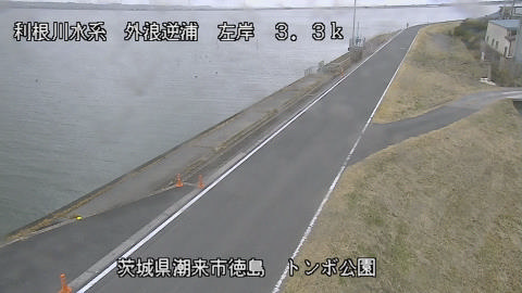 sotona2026022412_image