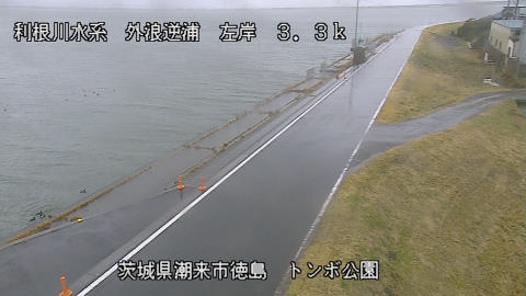 sotona2026022512_image