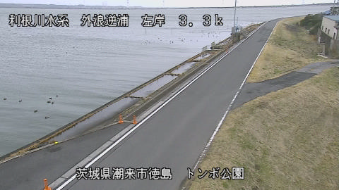 sotona2026022612_image