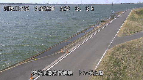 sotona2026030512_image