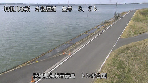 sotona2026030712_image