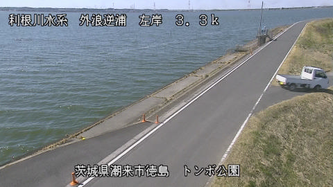 sotona2026030812_image