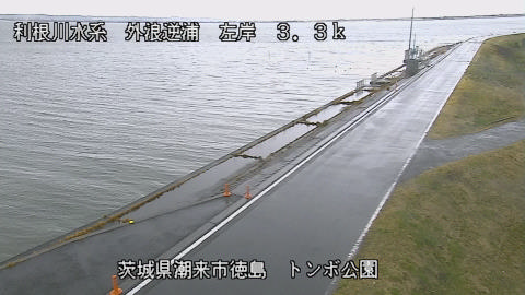 sotona2026031012_image