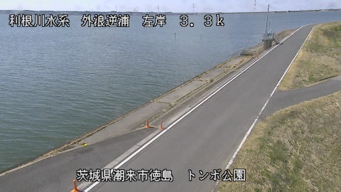 sotona2026031112_image