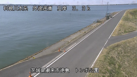 sotona2026031212_image