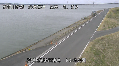 sotona2026031312_image