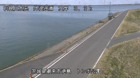 sotona2026031512_image