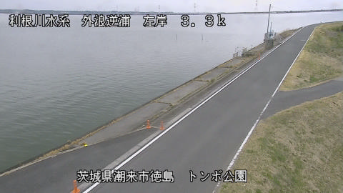 sotona2026031712_image