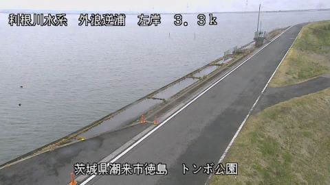 sotona2026031912_image