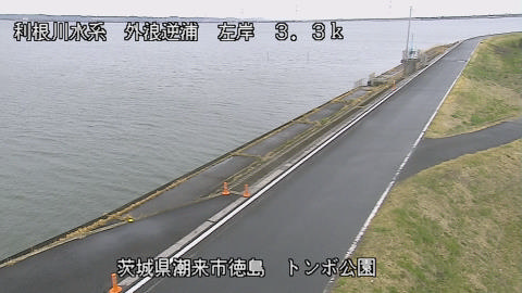 sotona2026032012_image