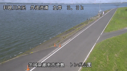 sotona2026061709_image