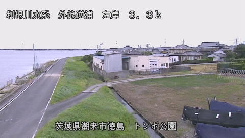 sotona2026100612_image