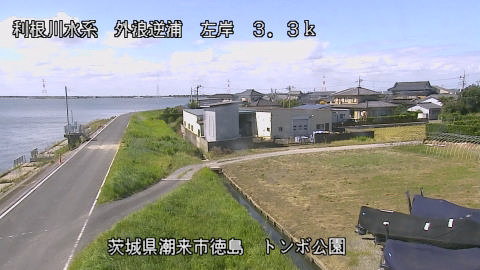 sotona2026101012_image