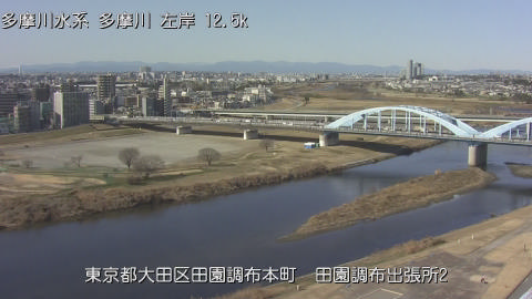 tamden2026012612_image