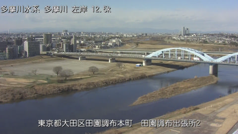 tamden2026012912_image