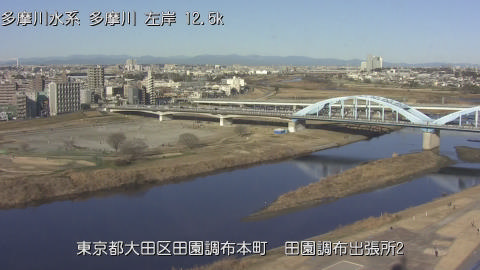 tamden2026013109_image