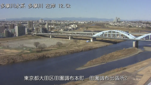 tamden2026013111_image