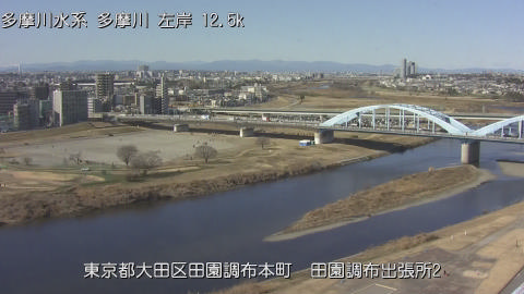 tamden2026013112_image