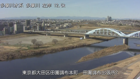 tamden2026013113_image