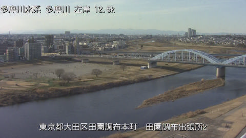 tamden2026013115_image