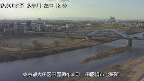 tamden2026013116_image