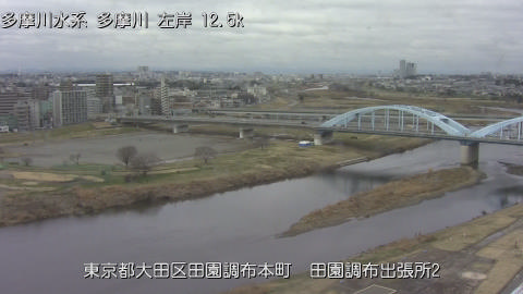 tamden2026022612_image