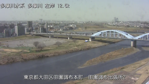 tamden2026022812_image