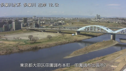 tamden2026031512_image