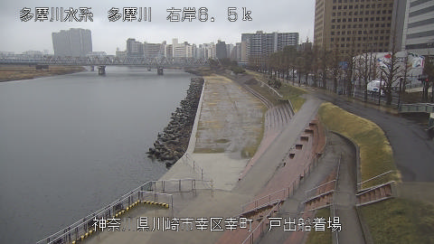 tamto2026022512_image