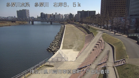 tamto2026031212_image