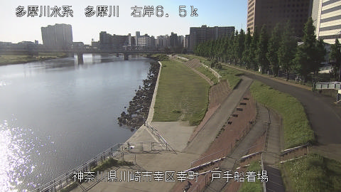 tamto2026050207_image