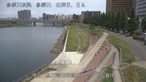 tamto2026061112_image