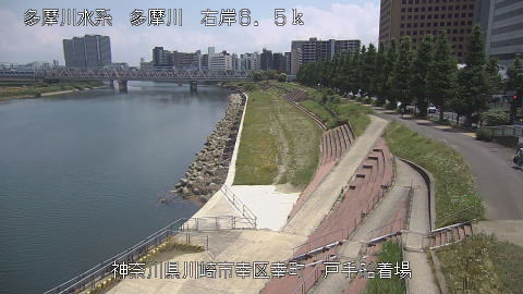 tamto2026061212_image
