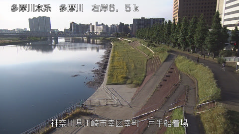 tamto2026061706_image
