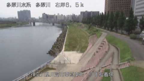 tamto2026073110_image