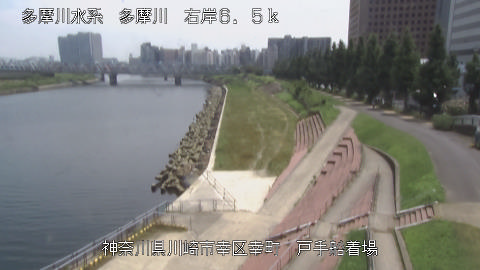 tamto2026073112_image