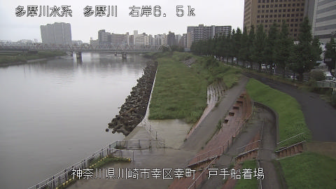 tamto2026091212_image