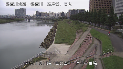 tamto2026091312_image