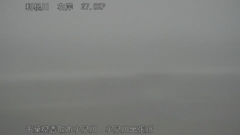 tonko2025061112_image