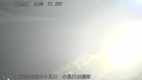 tonko2026011505_image