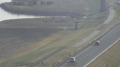 tonko2026011509_image